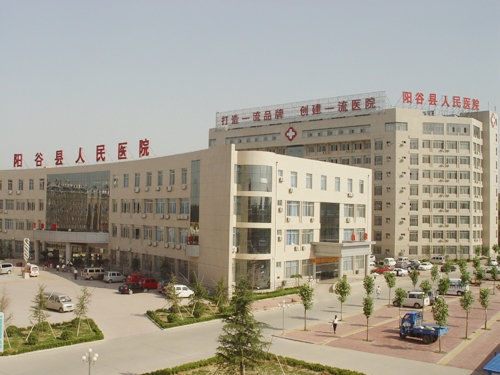 阳谷人民医院 2013年机房中心建设UPS采购项目