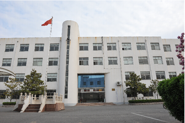 山东科普助力临沂市各区县地税局信息现代化建设